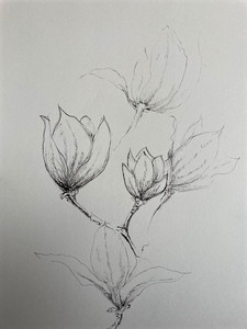 Debbie, Magnolias.jpg
